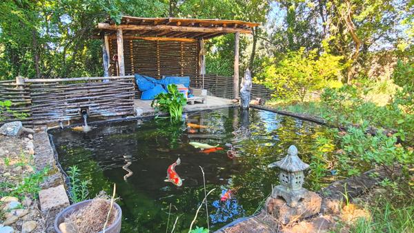 DOMAZAN - Maison 270 m2 5 chambres jardin de 3500 m2 avec piscine