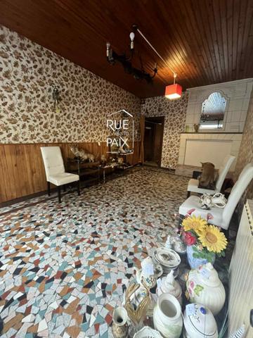 86270 LA ROCHE POSAY Idéal investisseur, projet touristique ou commerçant !