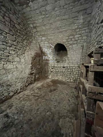 86270 LA ROCHE POSAY Idéal investisseur, projet touristique ou commerçant !