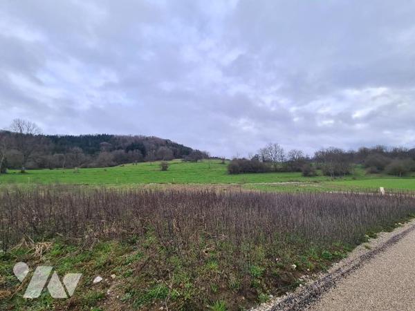 Terrain à bâtir CLERON
