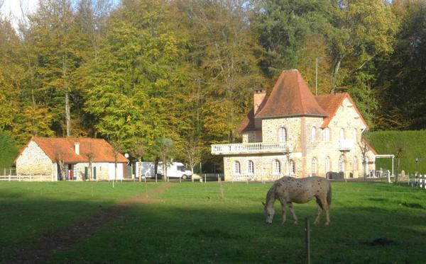 Fougères (35300) Propriété forestière