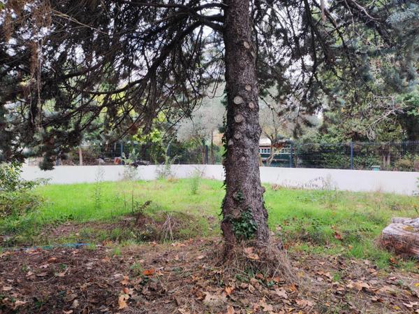 Vente / Terrain constructible