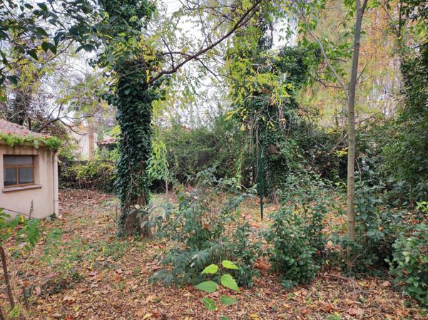 Vente / Terrain constructible