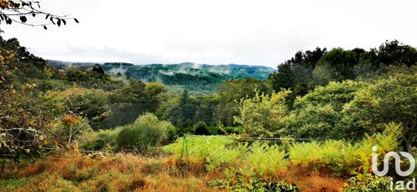 Maison à vendre 4 pièces 79 m² Peyrat-le-Château