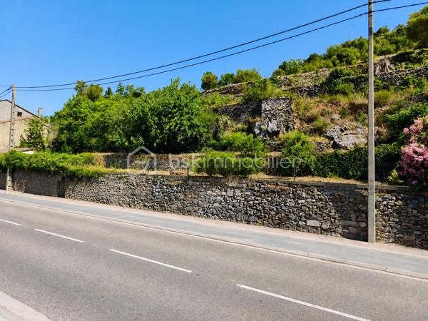 À Saint-Pons-de-Thomières, découvrez cette spacieuse maison de village de 245 m² habitables, offrant de nombreuses possibilités d'aménagement. Que vous soyez à la recherche d'une grande maison familiale ou d'un investissement locatif, ce bien saura vous séduire par ses volumes et son fort potentiel.

REZ DE CHAUSSEE :
- Grand garage d'environ 100 m² avec porte de 3,20 m de hauteur et 3,20 m de largeur, idéal pour un artisan, le stockage ou plusieurs véhicules.
- Hall d'entrée donnant accès a deux espaces:
- A droite, une pièce d'environ 21 m² + une pièce de 10m².
- A gauche, une pièce de 29m² + une salle d'eau avec wc.
- Une pièce avec la chaudière.

Ces espaces peuvent facilement être aménagés en deux appartements indépendants.

PREMIER ETAGE
- Cuisine d'environ 24 m²
- Salle d'eau avec WC d'environ 10 m²
- Trois chambres d'environ 14 m², 12 m² et 10,50 m²
- Bureau d'environ 7 m²

Depuis cet étage, vous accéderez à une terrasse d'environ 100 m², idéale pour profiter des beaux jours, ainsi qu'à un jardin arboré d'environ 900 m², réparti sur deux niveaux et agrémenté de plusieurs arbres fruitiers (figuier, cerisier, pêcher).

DEUXIEME ETAGE
- Côté droit : une pièce d'environ 35 m² avec une salle d'eau d'environ 12 m²
- Côté gauche : une pièce d'environ 31 m² avec une salle d'eau d'environ 8 m²
Ces espaces peuvent également être aménagés en deux appartements indépendants.

Les + du bien :
- Environ 245 m² habitables.
- Grand garage de 100 m².
- Terrasse de 100 m².
- Jardin de 910 m².
- Charpente en très bon état (couverture à prévoir dans le temps).
- Structure saine
- Bel escalier central en marbre


Des travaux de rénovation permettront de révéler tout le potentiel de cette propriété :

- Remplacement des menuiseries,
- Mise aux normes de l'électricité,
- Changement du système de chauffage,
- Reprise de la plomberie,
- Rafraîchissement général

Un bien aux multiples possibilités qui conviendra parfaitement :

- A une grande famille souhaitant créer une vaste habitation avec jardin,
- A un investisseur désirant créer jusqu'à 5 appartements,
- A un projet mêlant résidence principale et investissement locatif.

Un bien rare par ses volumes, son extérieur et son potentiel d'aménagement. À découvrir sans tarder !