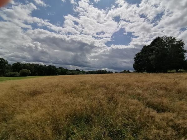 Terrain à bâtir - Saulcy-sur-Meurthe