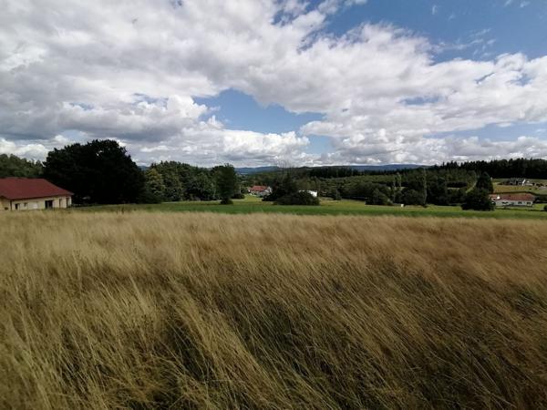 Terrain à bâtir - Saulcy-sur-Meurthe