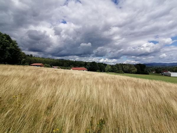 Terrain à bâtir - Saulcy-sur-Meurthe