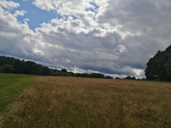 Terrain à bâtir - Saulcy-sur-Meurthe