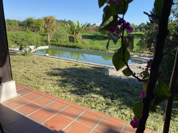 Rare sur le secteur – Maison landaise de charme à rénover avec piscine et grand terrain