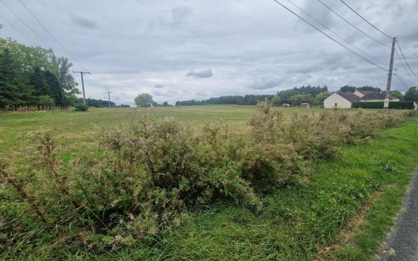 Terrain à vendre    Chabris