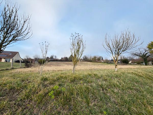 Terrain de 7 238 m² à Aubigné‑Racan (72800)