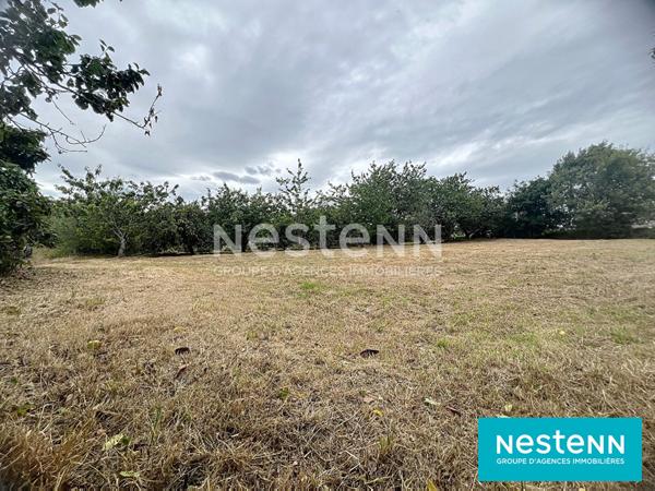VENTE TERRAIN CONSTRUCTIBLE 1096 M² PLOUFRAGAN
