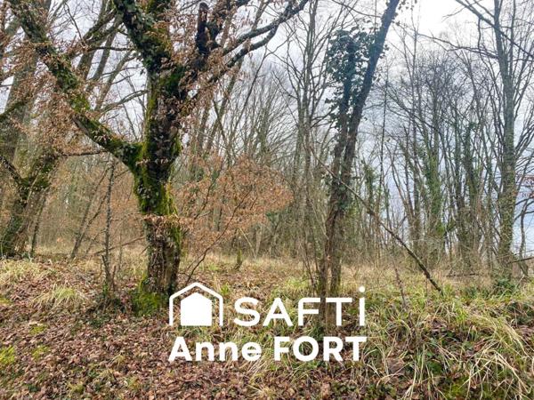 Terrain de loisirs boisé d'une superficie d'environ 1900 m2