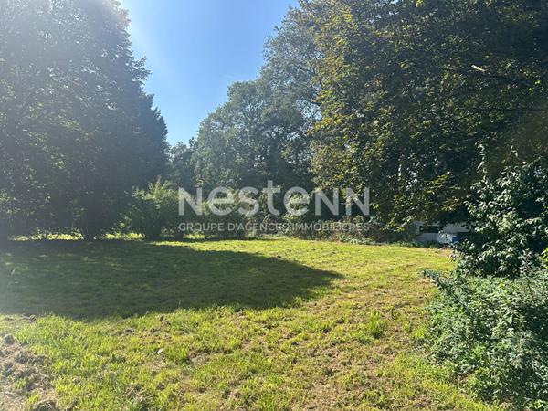 Authentique et charmante longère en pierre avec grand jardin arboré !