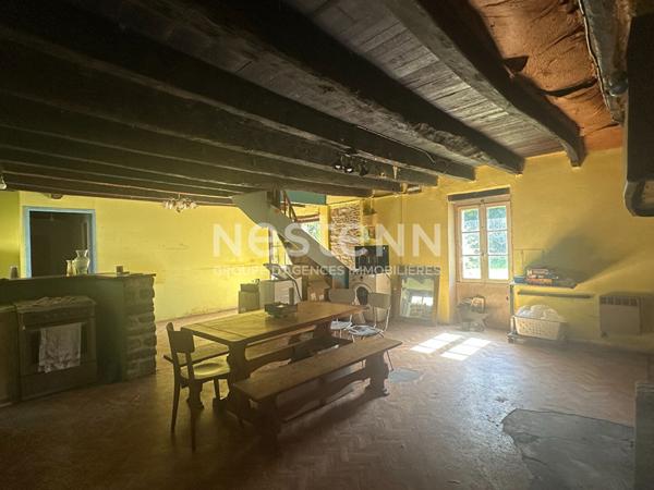 Authentique et charmante longère en pierre avec grand jardin arboré !