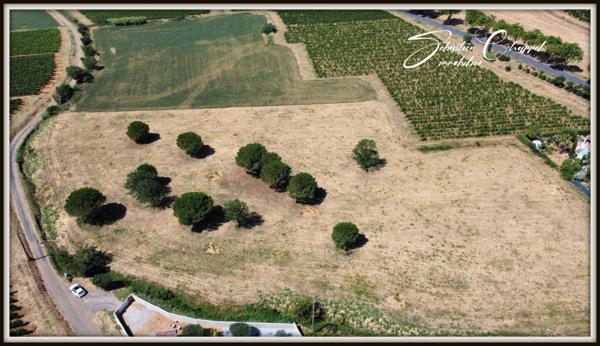 Terrain à vendre de 836m2 ALIGNAN DU VENT (34)
