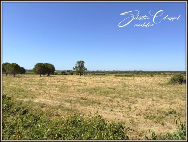 Terrain à vendre de 836m2 ALIGNAN DU VENT (34)