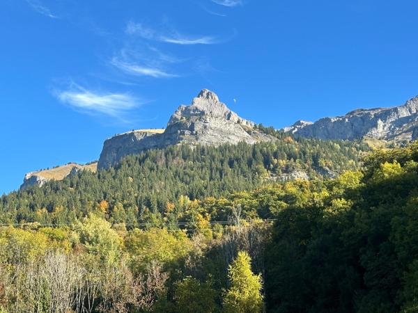 Maison de maître - terrain