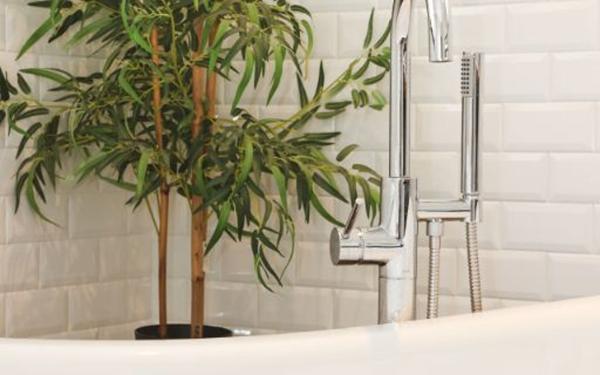 Maison à vendre    6 pièces •  Colomiers
