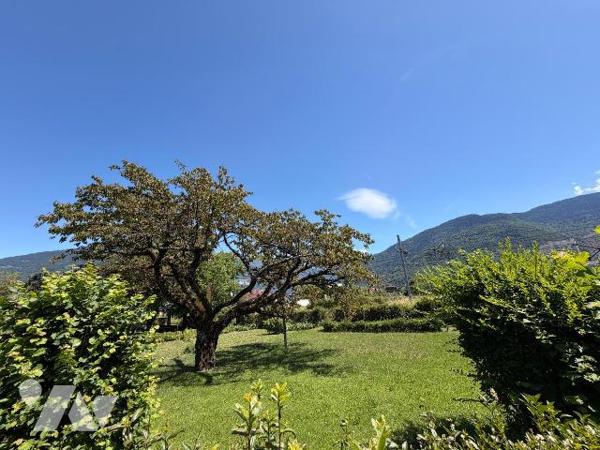 EXCLUSIVITE - ALBERTVILLE - QUARTIER SAINT SIGISMOND - 499 M² - EXPOSE SUD OUEST