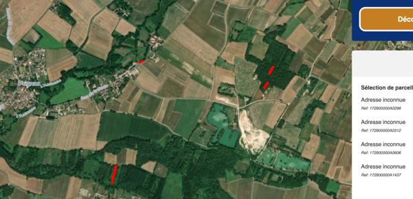 Bois & taillis – Environ 1 hectare – Prignac