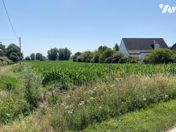  TERRAIN À BÂTIR À VENDRE – WITTES 