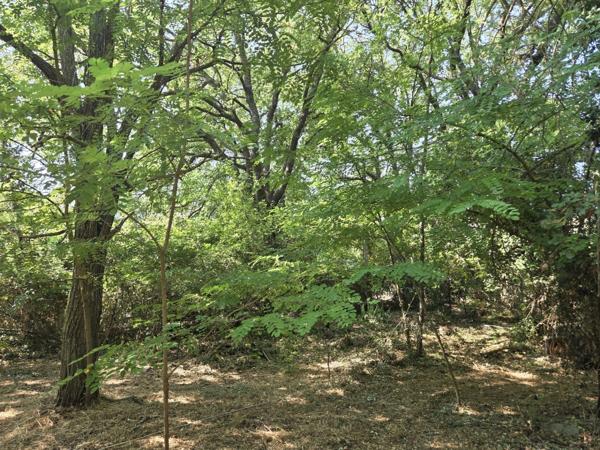 AIX Sud - Cabriès - Vente Grande Villa T4 de 200 M2 plein sud, à rénover, sur 1900M2 de terrain, emplacement de premier choix au calme et sans vis à vis