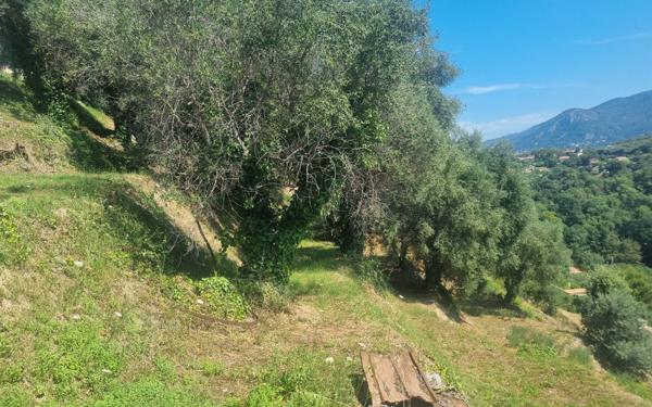 Terrain à vendre    Colomars