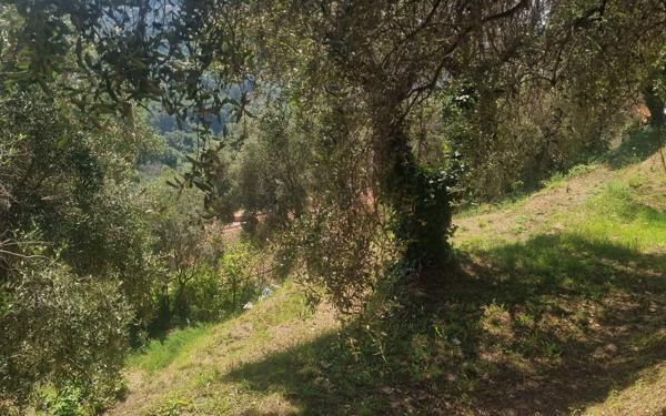 Terrain à vendre    Colomars