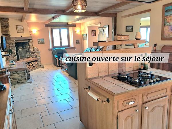 Mas de charme en Lozère- Calme absolu - vue sur les montagnes