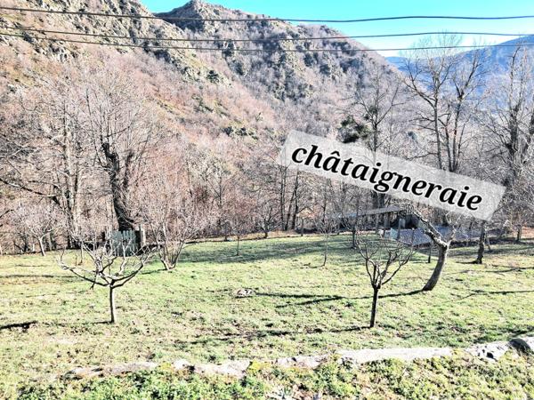 Mas de charme en Lozère- Calme absolu - vue sur les montagnes