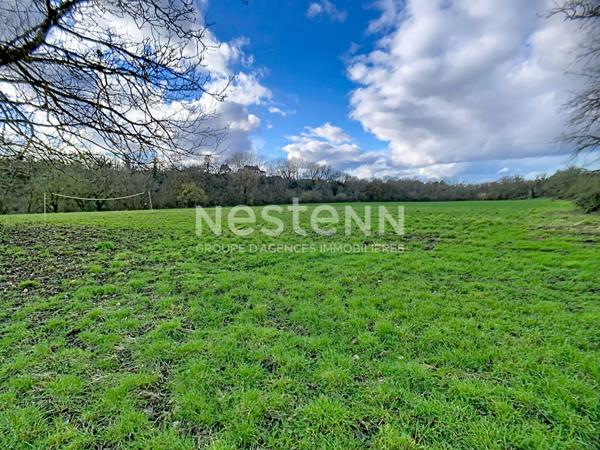 A vendre Maison Nérac 6 pièces de 160 m2 sur 7 hectares avec dépendance et piscine.