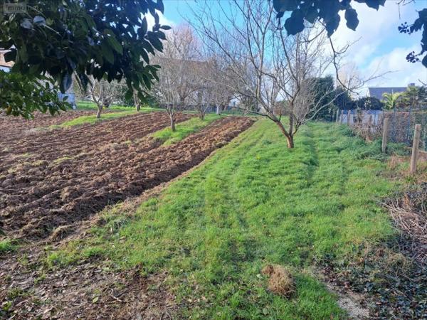 Achat - Terrain à bâtir Quimperlé 29300 618 m 2