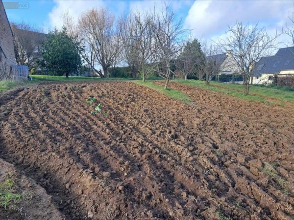 Achat - Terrain à bâtir Quimperlé 29300 618 m 2
