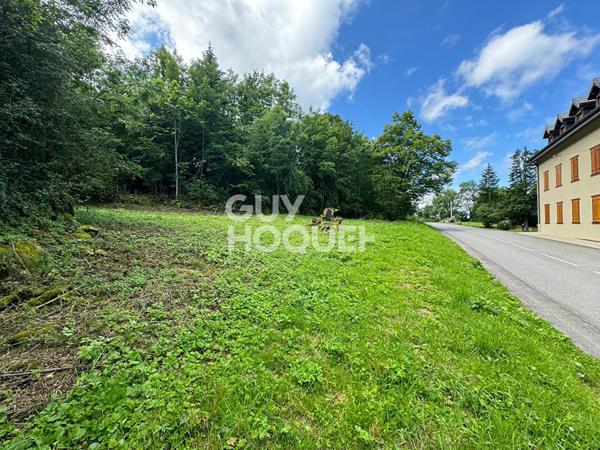 Terrain viabilisé et débroussaillé libre constructeurs Thollon Les Memises