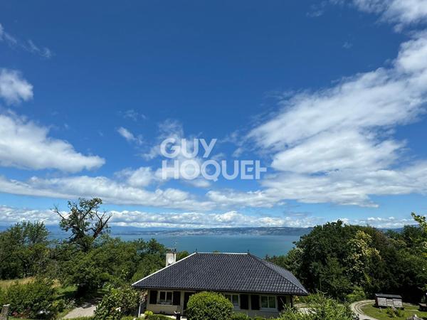 Terrain viabilisé et débroussaillé libre constructeurs Thollon Les Memises