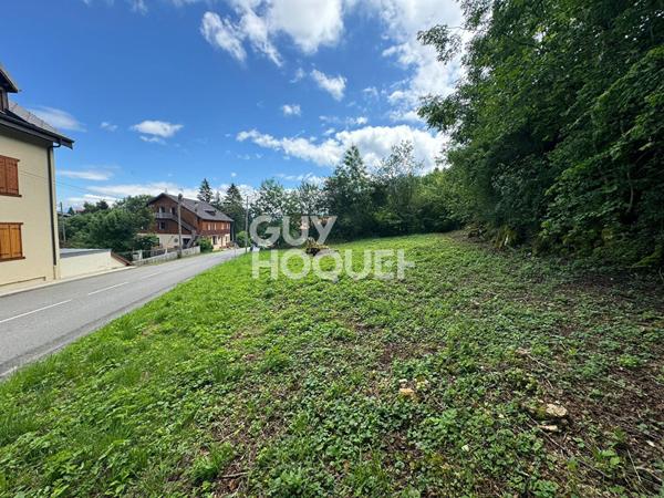 Terrain viabilisé et débroussaillé libre constructeurs Thollon Les Memises