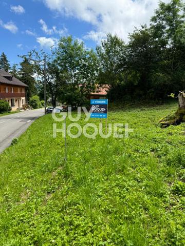 Terrain viabilisé et débroussaillé libre constructeurs Thollon Les Memises