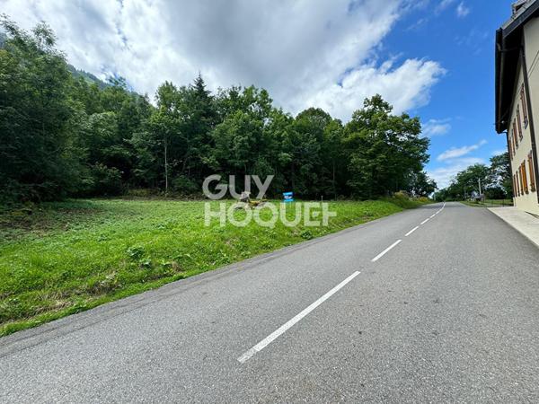 Terrain viabilisé et débroussaillé libre constructeurs Thollon Les Memises