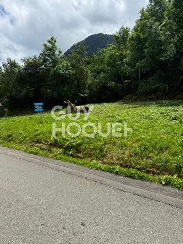 Terrain viabilisé et débroussaillé libre constructeurs Thollon Les Memises