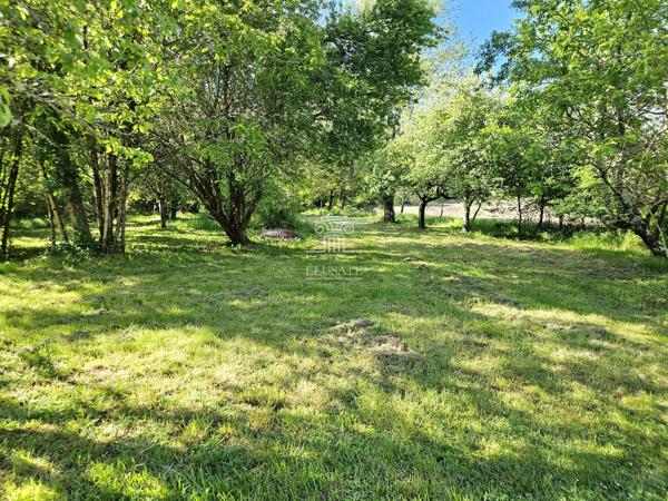 MAISON T7 - 220M² EN CAMPAGNE AVEC TERRAIN DE PLUS DE 8000M² ET DEPENDANCE / PROCHE EAUZE