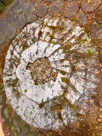 Maison à vendre 11 pièces proche de LA CLAYETTE (71) 346m² - 6 chambres - dépendances - piscine - terrain 14178 m²