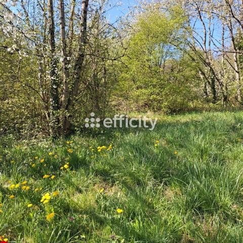 Terrain - 849 m² Exclusivité efficity