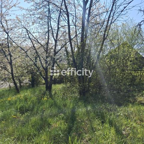 Terrain - 849 m² Exclusivité efficity