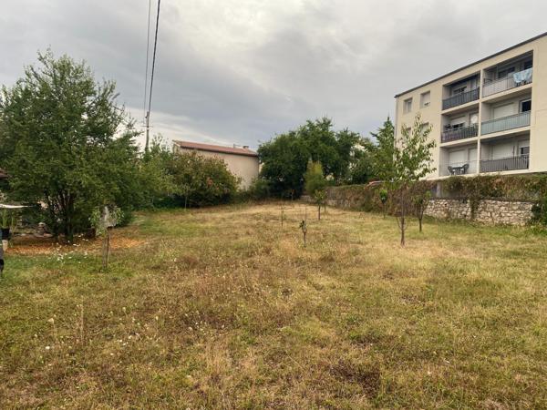 Rare en pleine ville