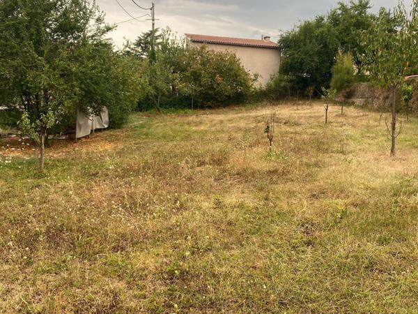 Rare en pleine ville