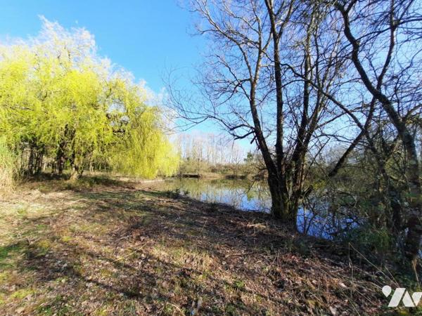 CHALLANS - Terrain avec étang
