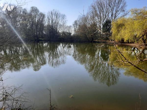 CHALLANS - Terrain avec étang