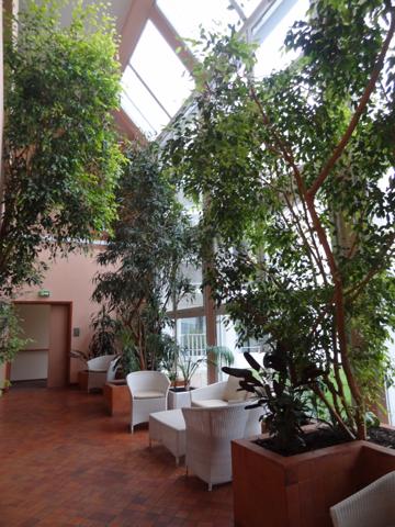Le Chesnay Rocquencourt (78150) Appartement 2 pièces résidence avec services Domitys le chesnay-rocquencourt 78150